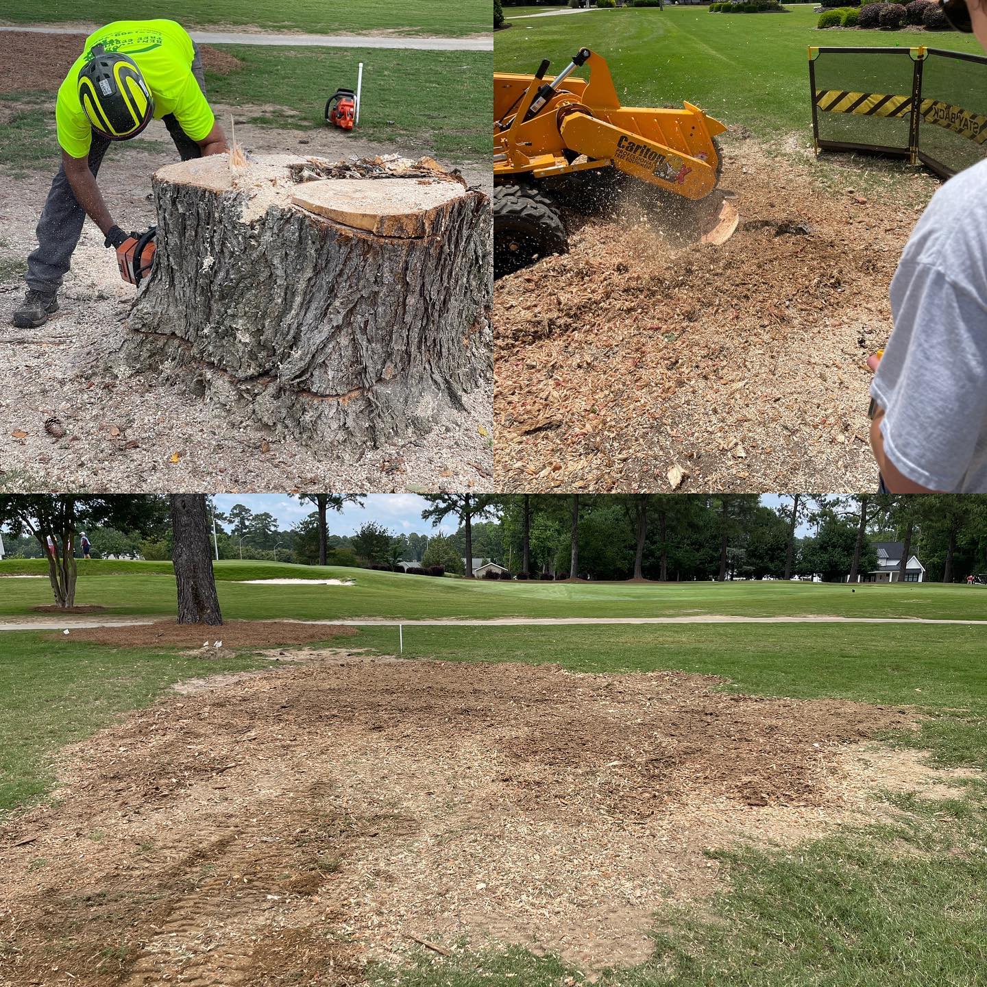 tree-stump-removal_triangle 3